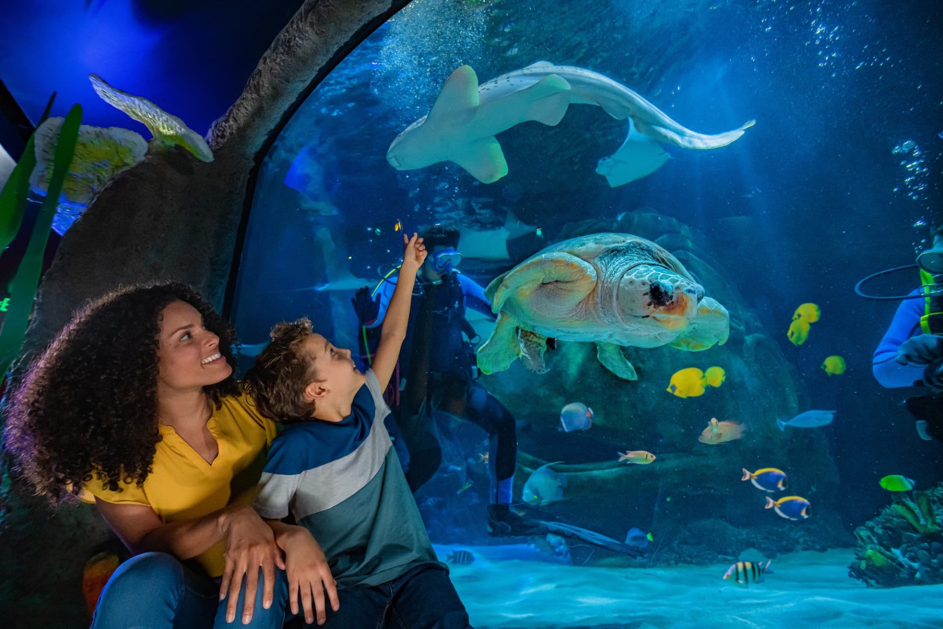 COMBO: The Merlin Florida Ticket - Admission to 7 Family Attractions - image 15
